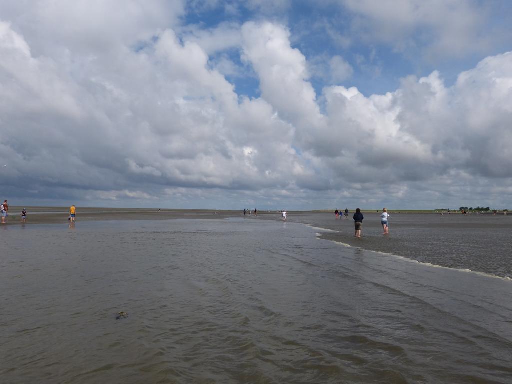ビューズムFewo-Nordseestrandアパートメント 部屋 写真